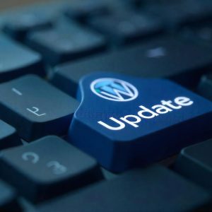 Update Website (WordPress) - one time