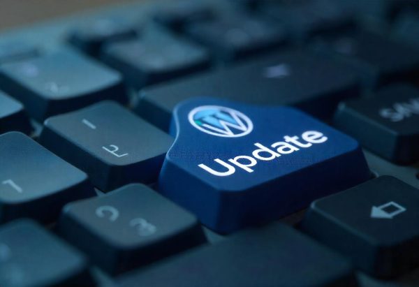 Update Website (WordPress) - one time